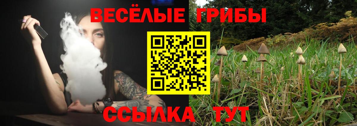 Галлюциногенные грибы Psilocybe  Псилоцибиновые грибы MAGIC MUSHROOMS  Вход с VPN  Ростов-на-Дону 