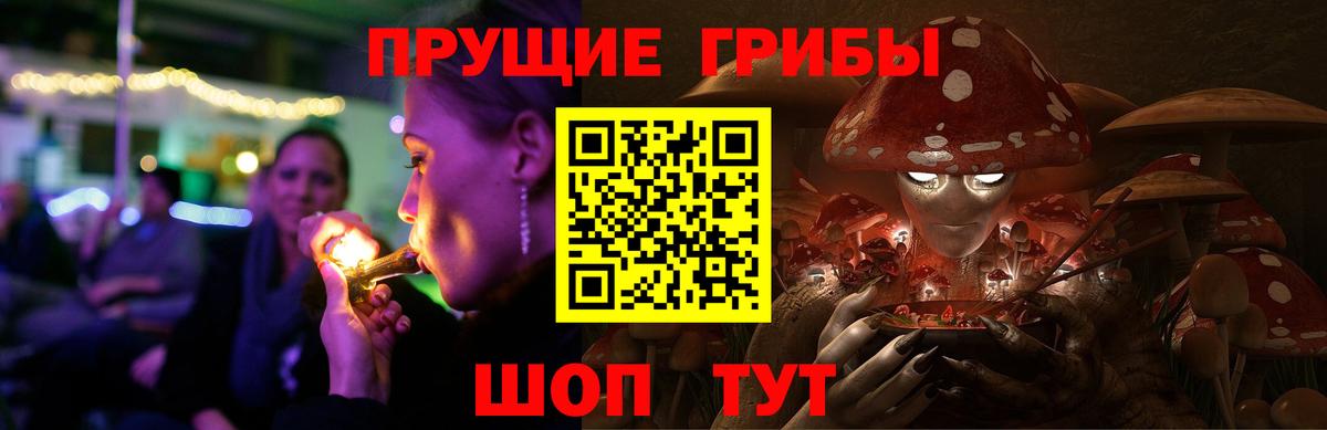 Псилоцибиновые грибы мицелий Ростов-на-Дону